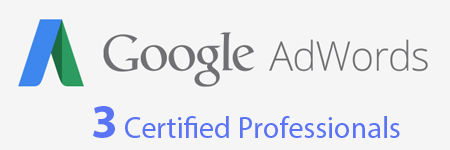 google adwords certified professionals
